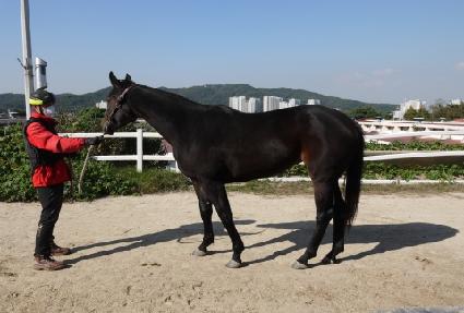 ������� ����