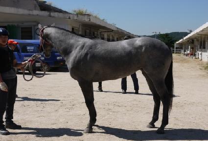 �ż���ǳ ����