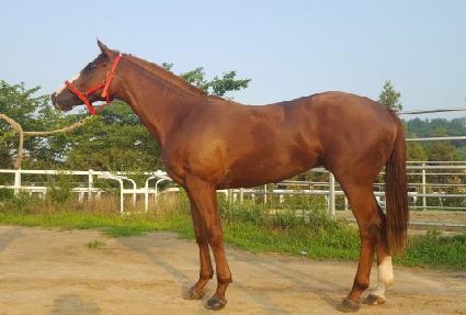 �������� ����