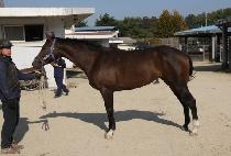 ������ķ�� (LEADER��S CAMP) ����