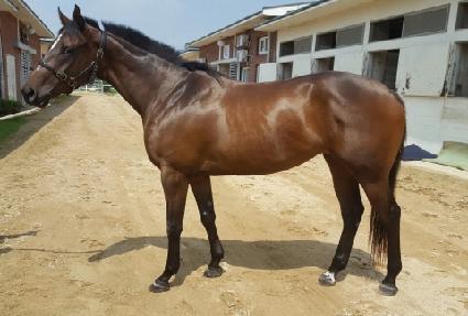 ���ѵ帲 ����