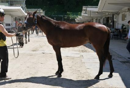 �ƶ� ����