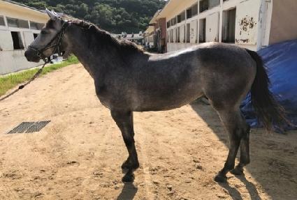 �����Ϸ� ����