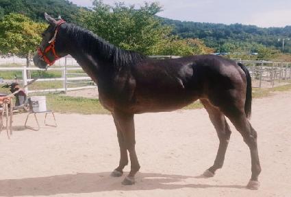 �ص��Ǻ� ����