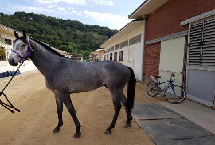 Ȳ�ݺ����� ����