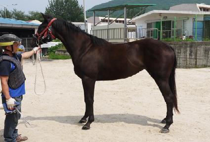 ä���� ����