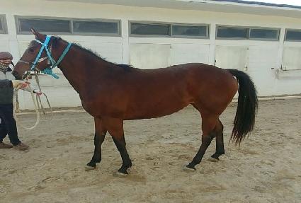 ��ƼǮ���� ����