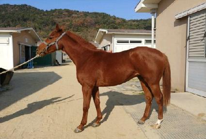 �ǽ����̴� ����