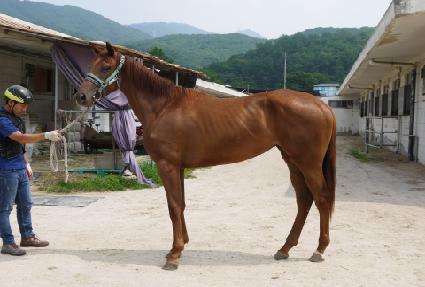 Ʈ������ ����