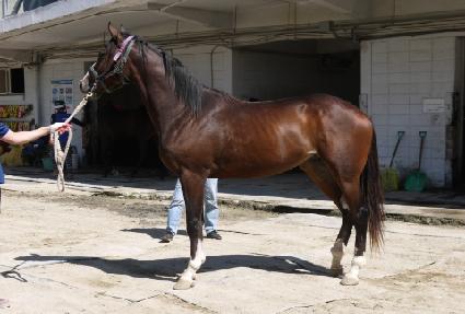 ���δ뺸 ����