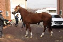 ���������� (SUCCESS GUY) ����