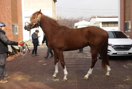 ���������� ����