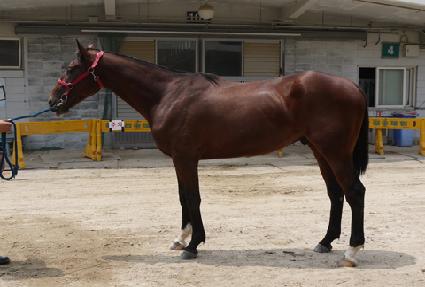 ���̿����� ����