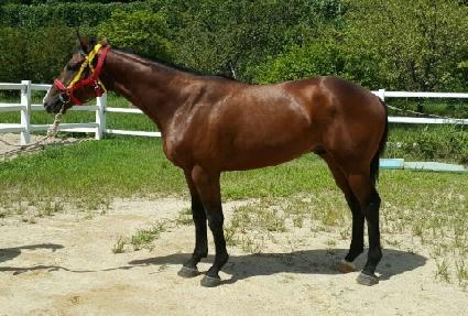 ���Ϸ����� ����