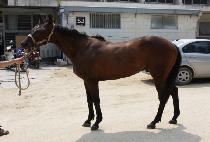 �ƽ��׸� (ASTER) ����