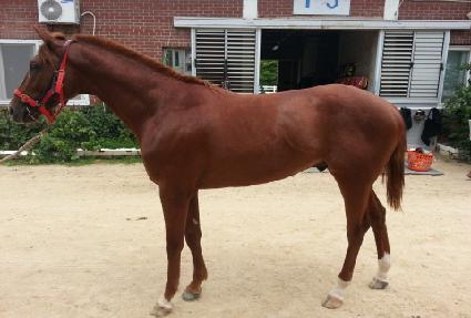 �뵿���� ����