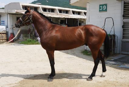 ����Ʈ���� ����