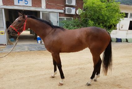 �뵿���� ����