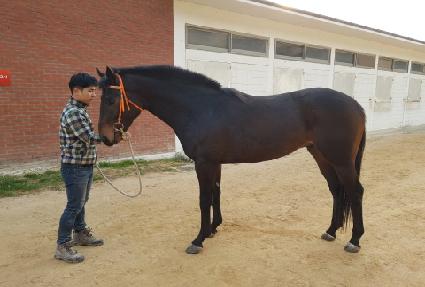 ����ν���� ����