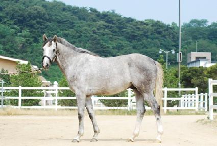 �ͽ�Ʈ��ǻó ����