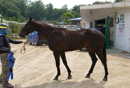 Į������ ����