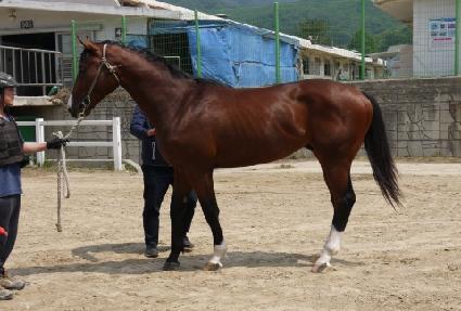 �����̽� ����