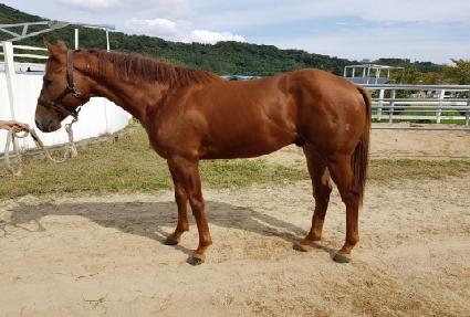 Ʈ���ú��� ����