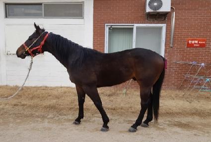 �巡�ﳪ�� ����