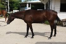 �����·�� (BINNANEUN RUBY) ����