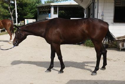 �����·�� ����