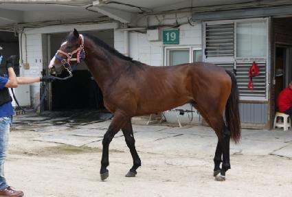 �����̺�Ʈ ����