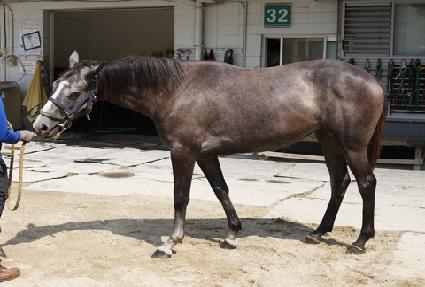 �Ϸ� ����