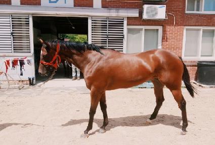 �ְ���� ����