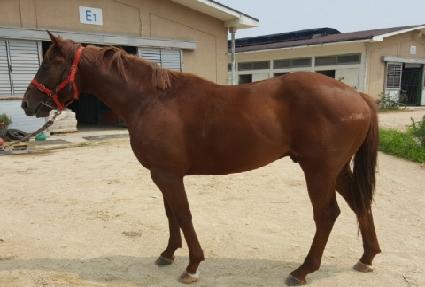 �ְ����� ����