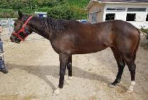 ������Ʈ (MUJEOK BEAT) ����