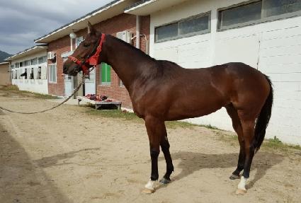 ���Ƽ�� ����