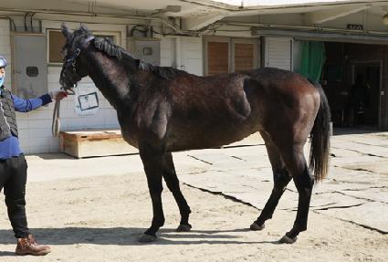 �Ƶ��Ѽ��� ����