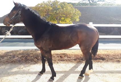 ���ǽ��� ����