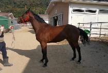 ��Ƽ���� (PARTY WINNER) ����