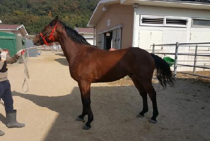 ��Ƽ���� ����