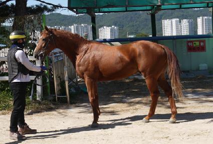 �����Ǻ� ����