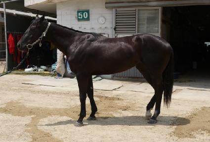 ����Ʈ���� ����