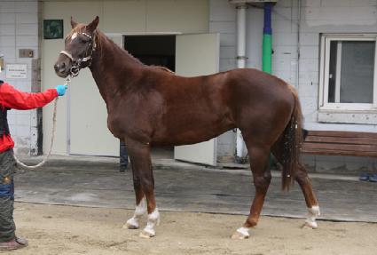 �ʹ����� ����