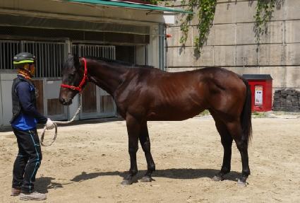 �۷ι����� ����