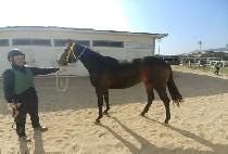 ������ (BLACK PIN) ����