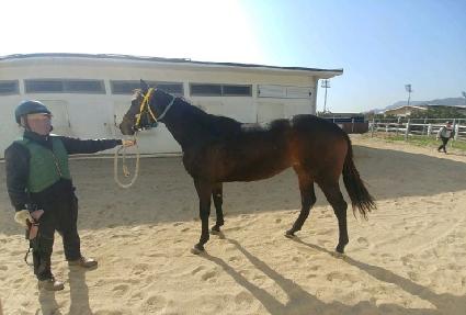 ������ ����