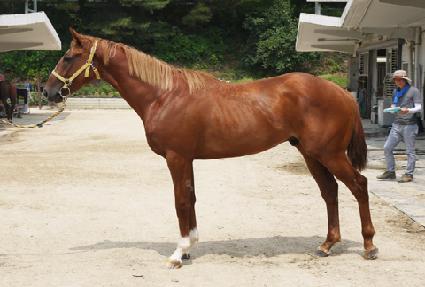 �뺯ȭ ����