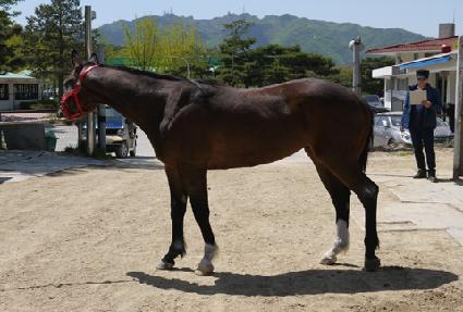 �Թڹ̼� ����