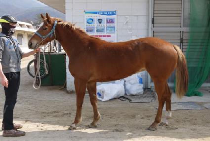 ������� ����