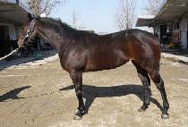 ��߹�� (BANGGEUT BANGGEUT) ����